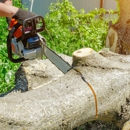 Ken's Tree Service - Tree Service