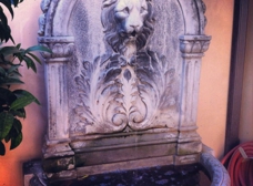 Gallery Image Number 1