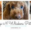 Wags N Whiskers Pet Care gallery