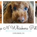 Wags N Whiskers Pet Care - Pet Services
