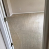 The Original Orlando Carpet Cleaning Company gallery