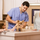InstaVet Home Veterinary Care
