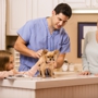 InstaVet Home Veterinary Care