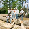 Ofilio Tree Service gallery