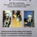 Pampered Pooch pet salon - Pet Grooming