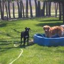 Canine Country Inn & Day Care - Pet Boarding & Kennels