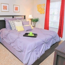 River Oaks Apartments - Apartments
