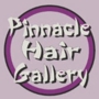 Pinnacle Hair Gallery