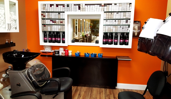 Bliss Hair Studio - Winston-Salem, NC