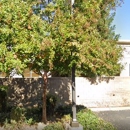 West Coast Men's Health - Elk Grove