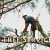 Brock's Tree Service gallery