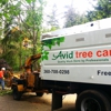 Avid Tree Care gallery