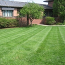 Quality Lawn and Landscapes - Landscaping & Lawn Services