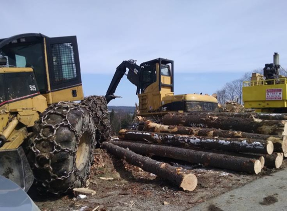 Mario Pelletier Tree Removal - New Boston, NH