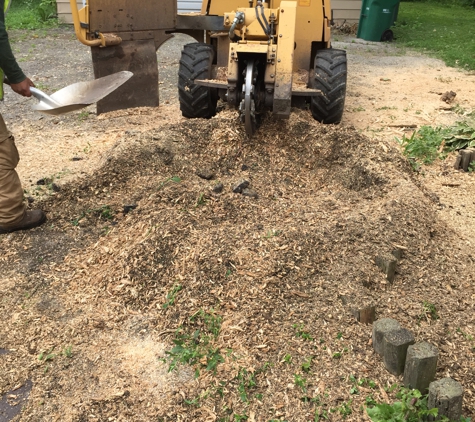 Eddy's Tree Service - Lake Villa, IL. stump grinding
