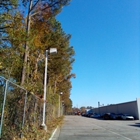Trees R US Inc
