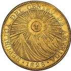 William S Panitch Rare Coins