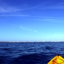 Shark Bait Beach Gear Rentals - Umbrellas