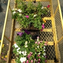 Frank's Produce & Greenhouses - Fruits-Dried