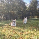 The Cottages - Pet Boarding & Kennels