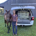 Greenville Equine Veterinary Services