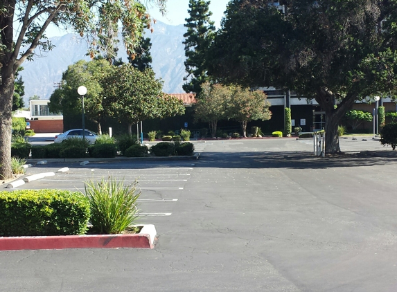 Lee S. Koh, MD - Arcadia, CA. Parking lot