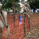 Heritage Farms - Christmas Trees