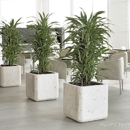 Green Oasis Plantscapes - Plants-Interior Design & Maintenance