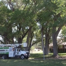 BA Robinson Tree Service Inc. - Tree Service