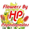 Flowers By HP Papadopoulos gallery