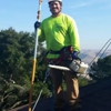 Dunne Right Tree Care gallery