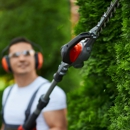 Complete Tree Removal & Clean-Up - Tree Service