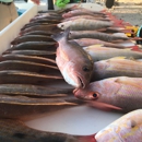 Lower Keys Kayak Fishing - Fishing Charters & Parties