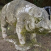 Red Cedar Farm gallery