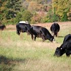 Lazy Creek Farms