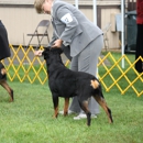 K9Kapers Dog Training - Boarding Houses