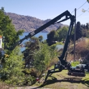 Lake Chelan Tree Service - Tree Service