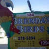 Brenda's Birds gallery