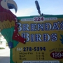 Brenda's Birds
