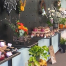 Blossom Shoppe - Florists