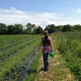 Cullipher Farm Market