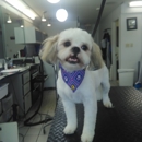 Flutie's Doggie Hideout - Pet Boarding & Kennels