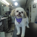 Flutie's Doggie Hideout - Pet Boarding & Kennels