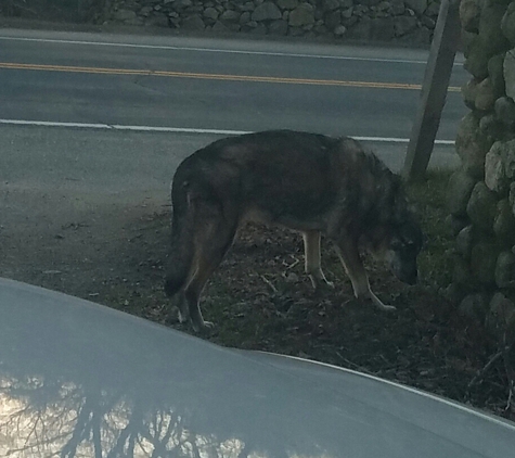 Tiverton, Town - Tiverton, RI. Seen this morning on Stafford Rd