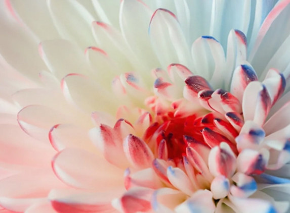 Lethborg Family Funerals - Saint Leonards, TAS
