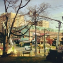 Our Lady of Lourdes - Catholic Churches