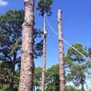 Arbor Outlawz Tree Removal - Arborists