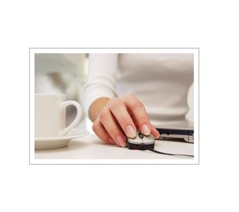 Lunney Watt & Associates Pty Ltd - Penrith, NSW