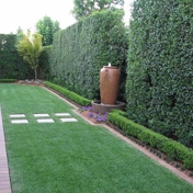 Gallery Image Number 7