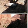 DC2 Stump Grinding & Lawn Care gallery